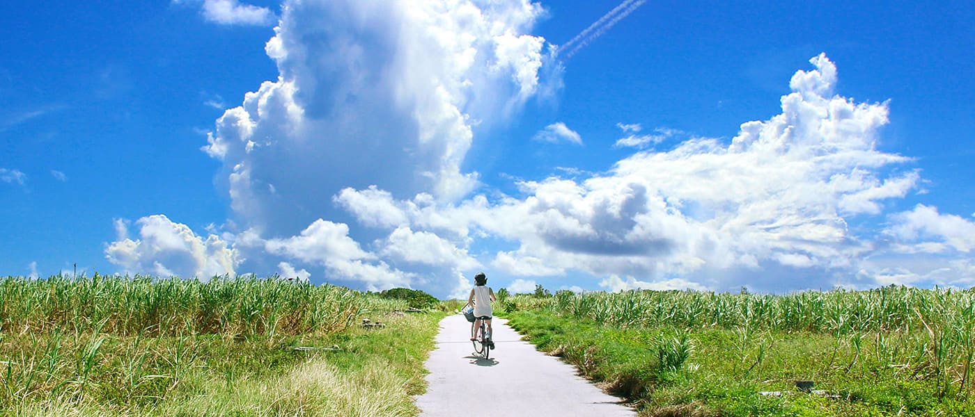 メルカリ無料会員登録だけで500ポイント